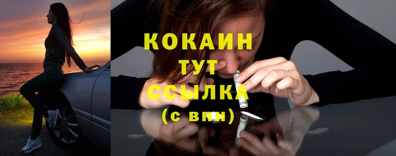 shop официальный сайт  Алупка  Cocaine Fish Scale 